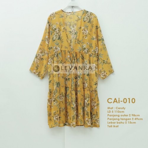 CAi-010 Outer Ceruti / Cerutty motif